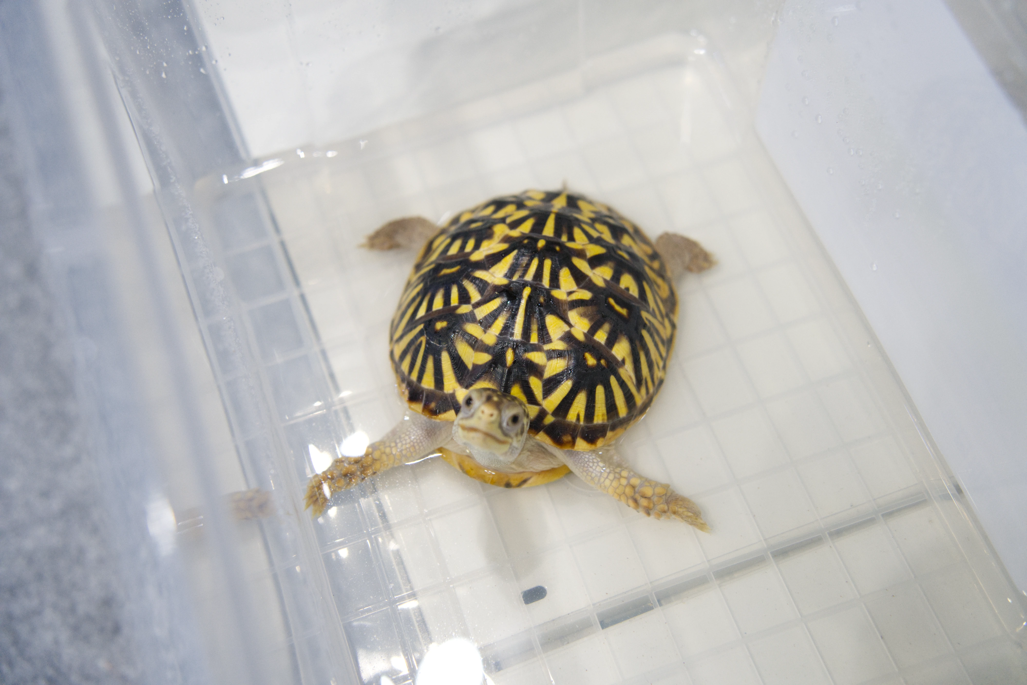 DC Inside 이미지 4