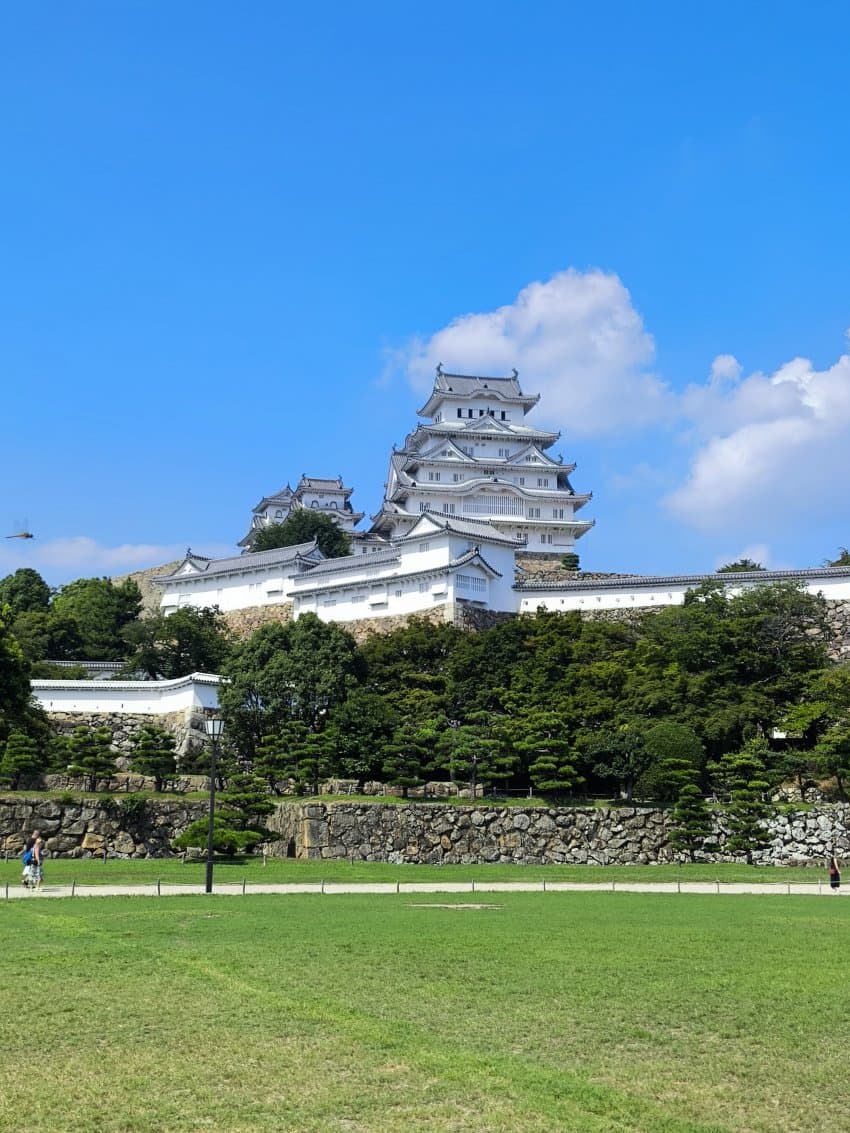 DC Inside 이미지 12