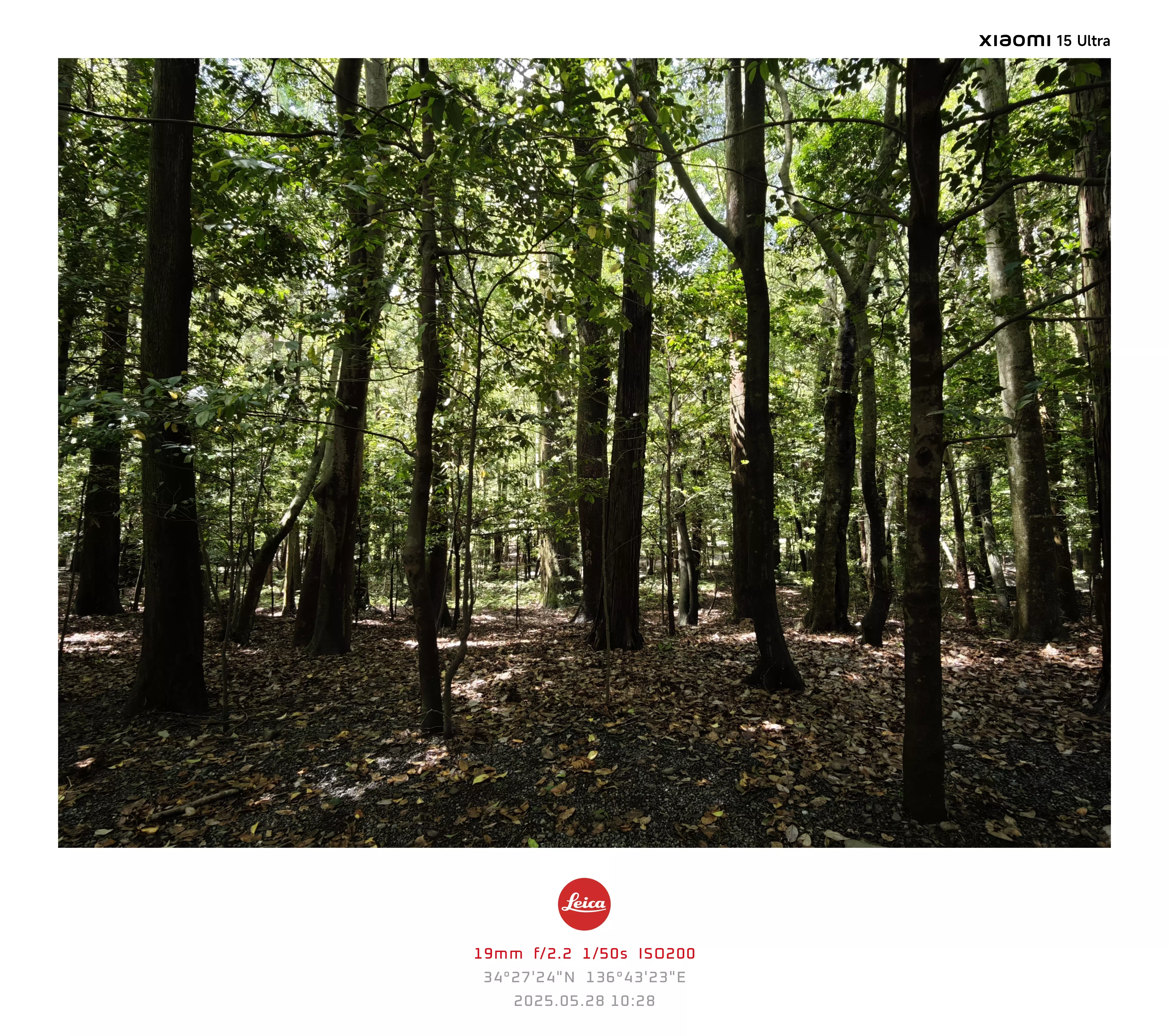 DC Inside 이미지 14