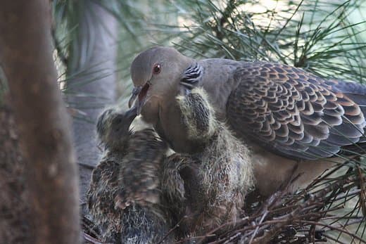 DC Inside 이미지 7