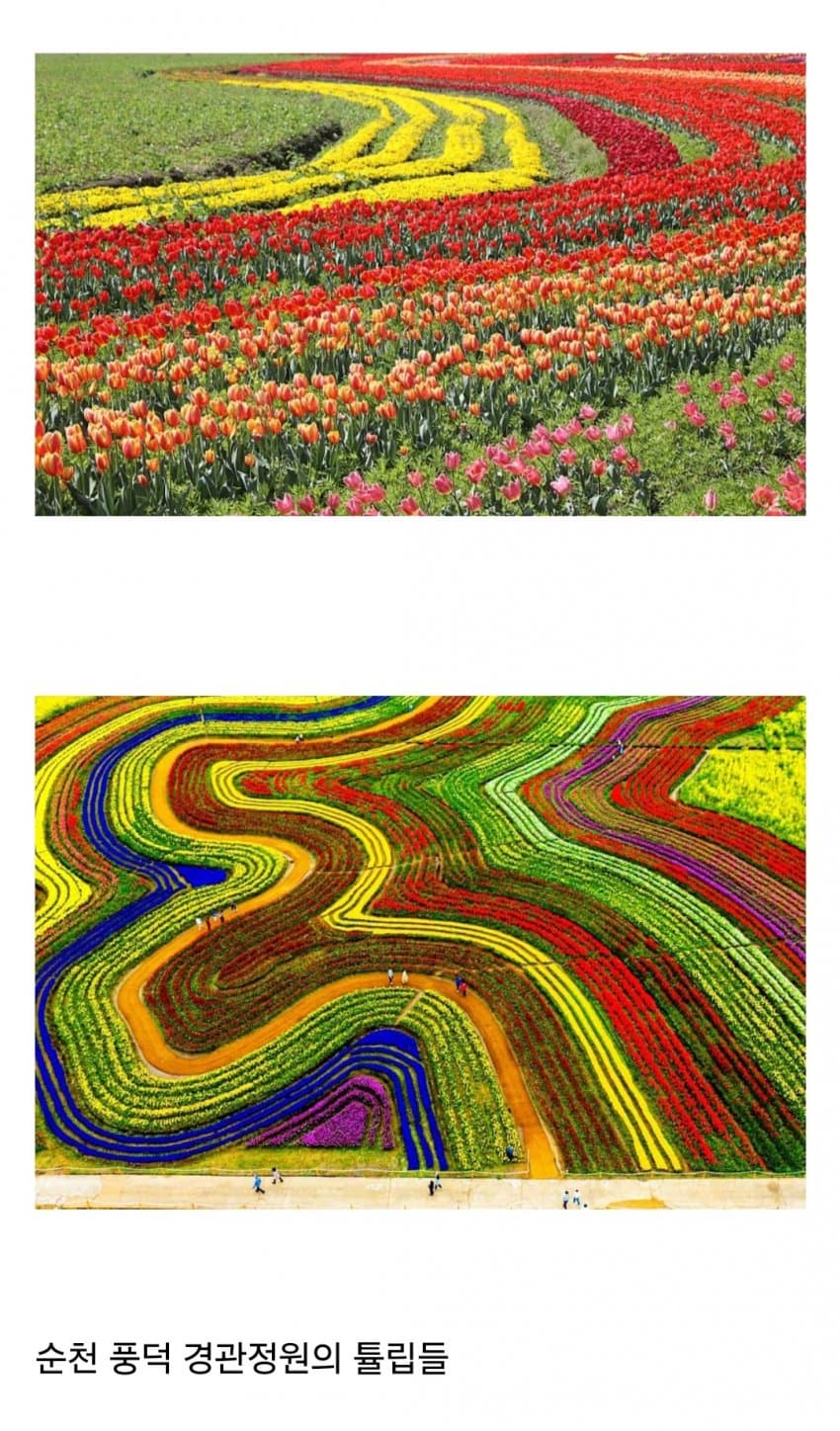 DC Inside 이미지 14