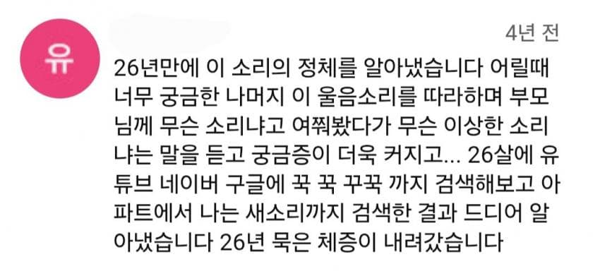 DC Inside 이미지 1