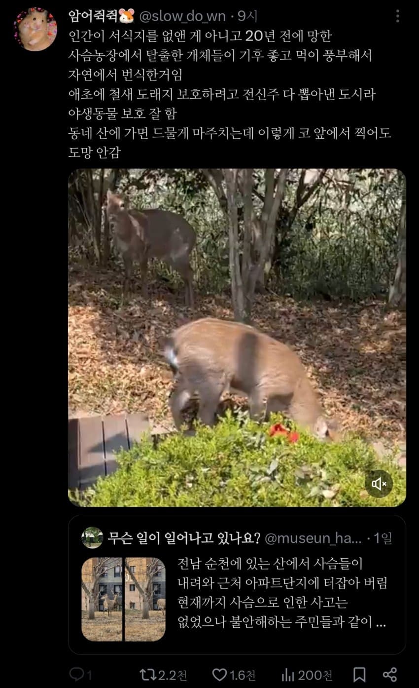 DC Inside 이미지 12