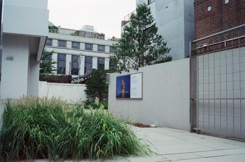 DC Inside 이미지 5