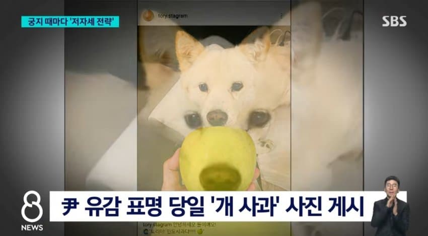 DC Inside 이미지 5