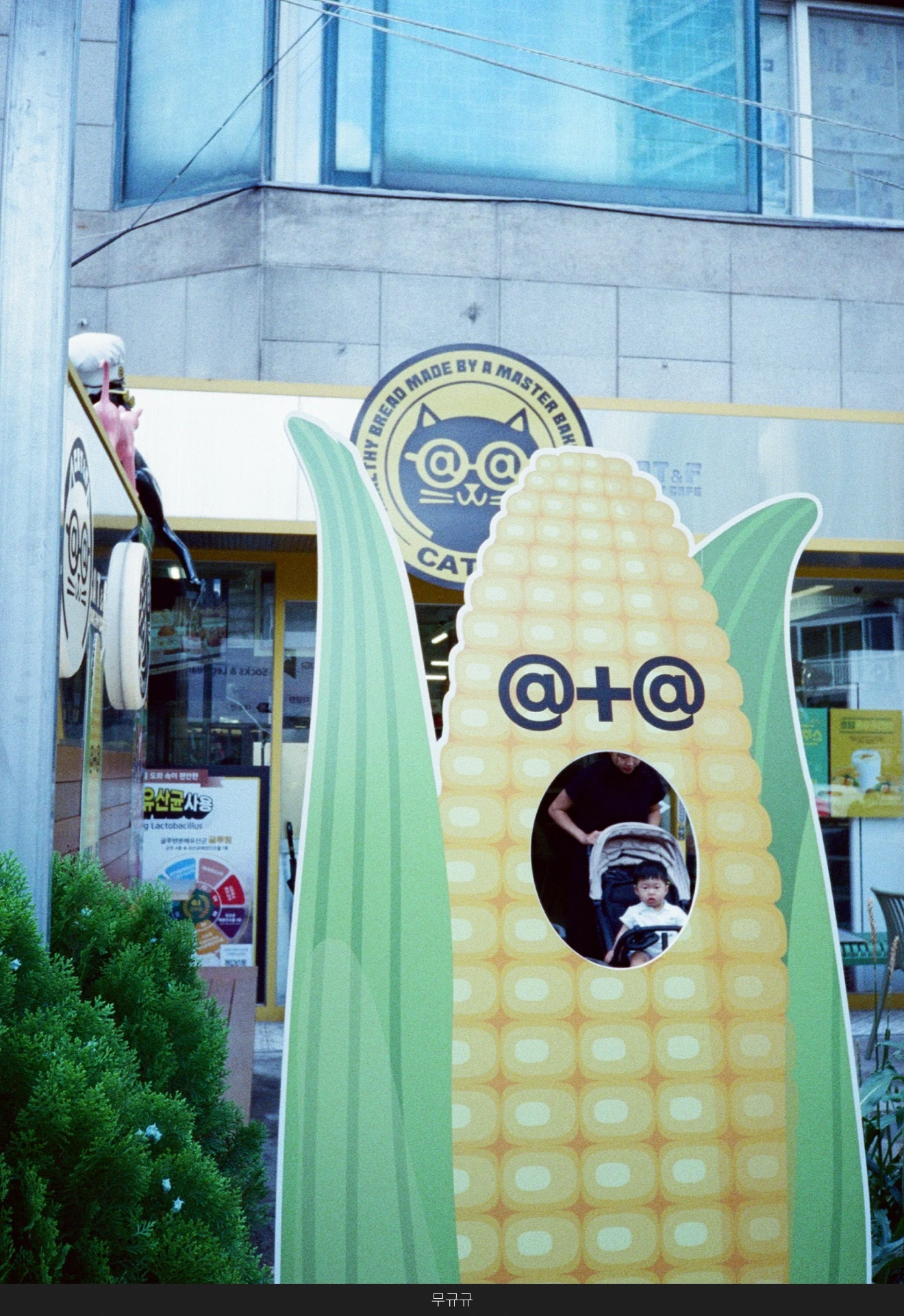 DC Inside 이미지 12