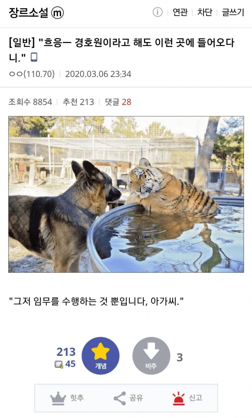 DC Inside 이미지 15