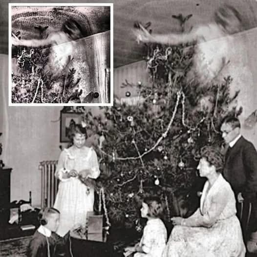 DC Inside 이미지 17