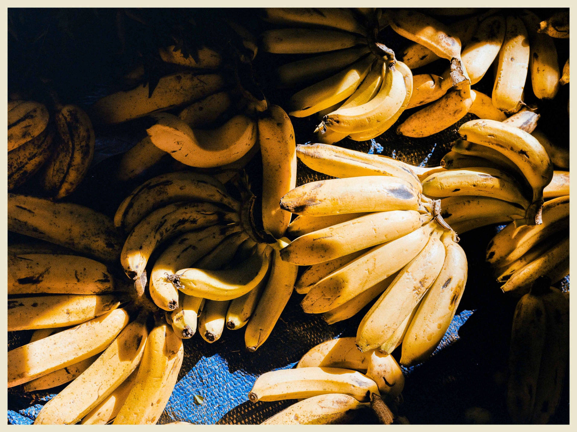 DC Inside 이미지 2