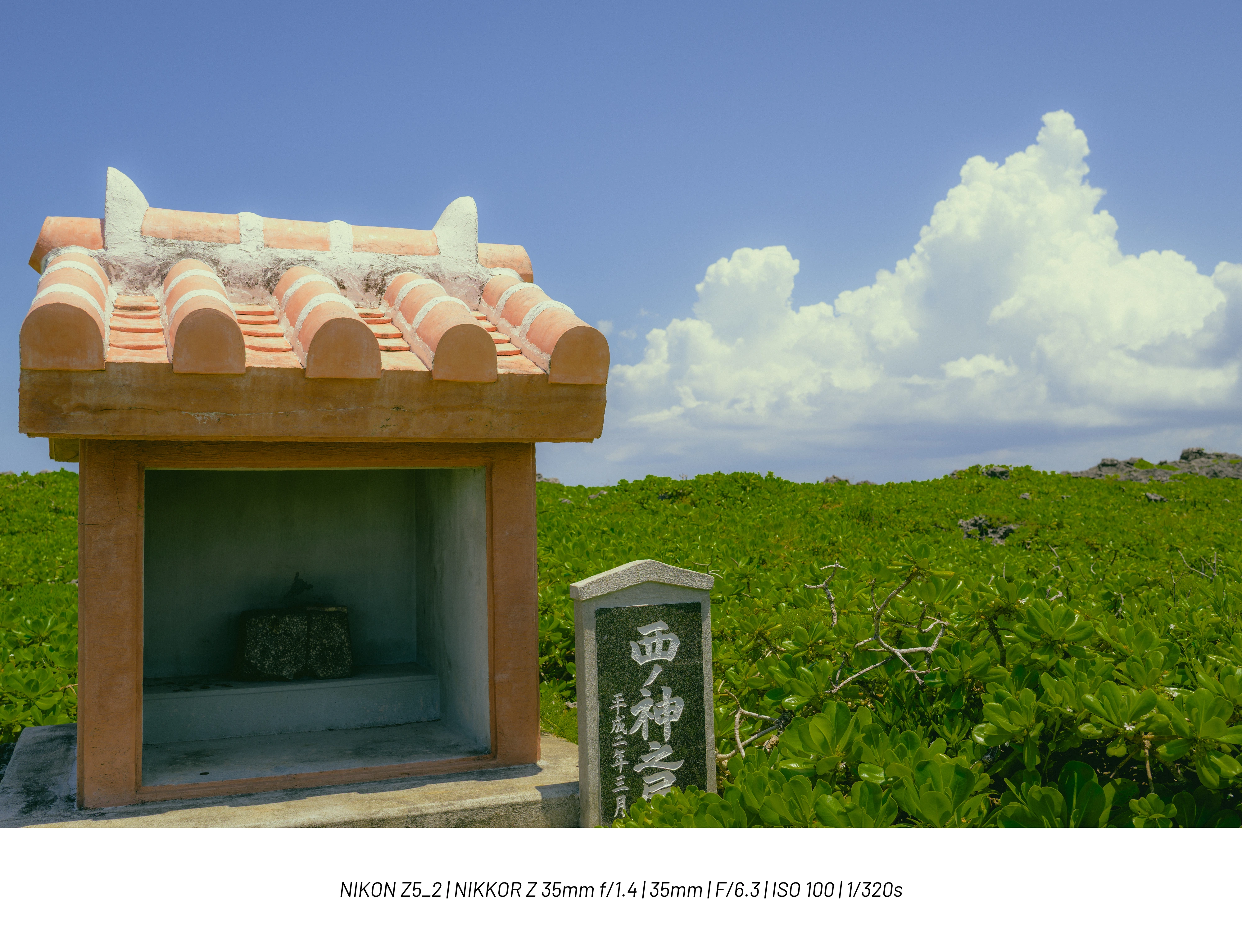 DC Inside 이미지 20