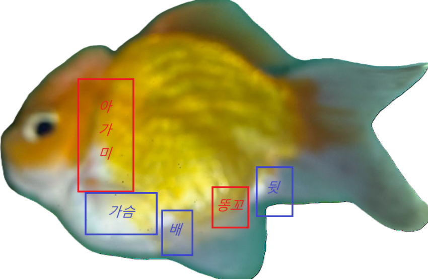 DC Inside 이미지 6