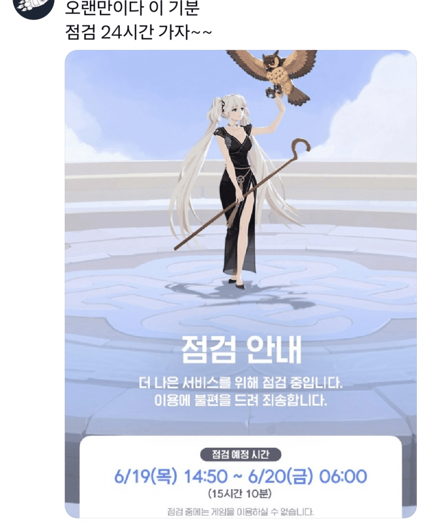 DC Inside 이미지 15