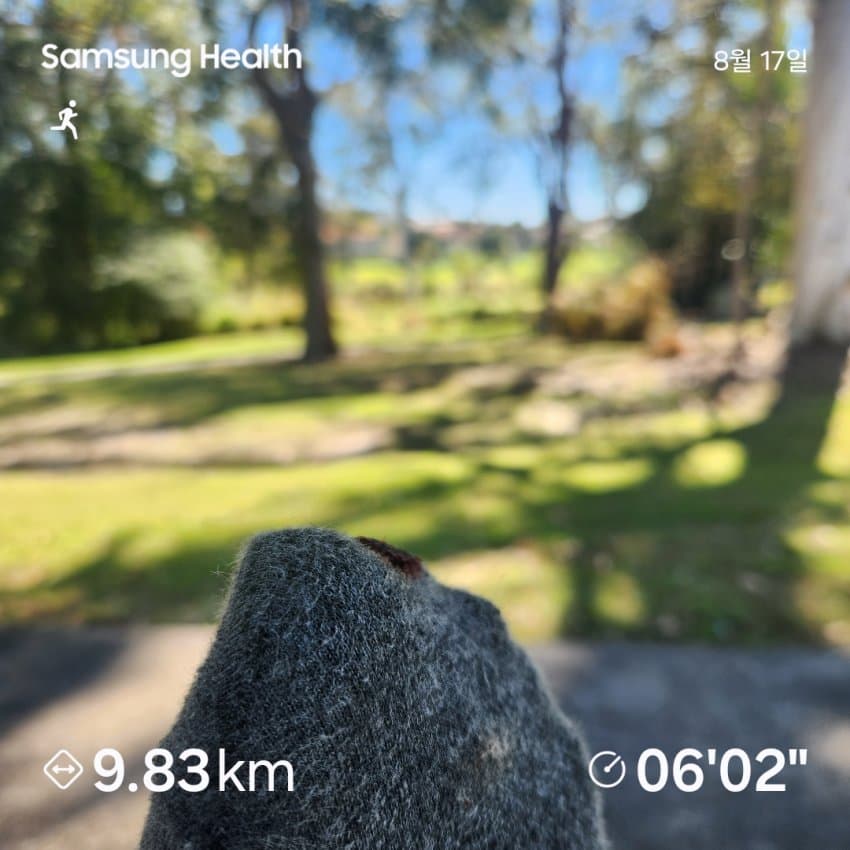 DC Inside 이미지 3