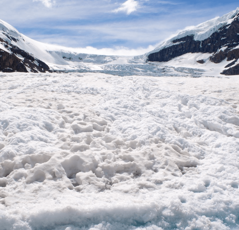 DC Inside 이미지 16