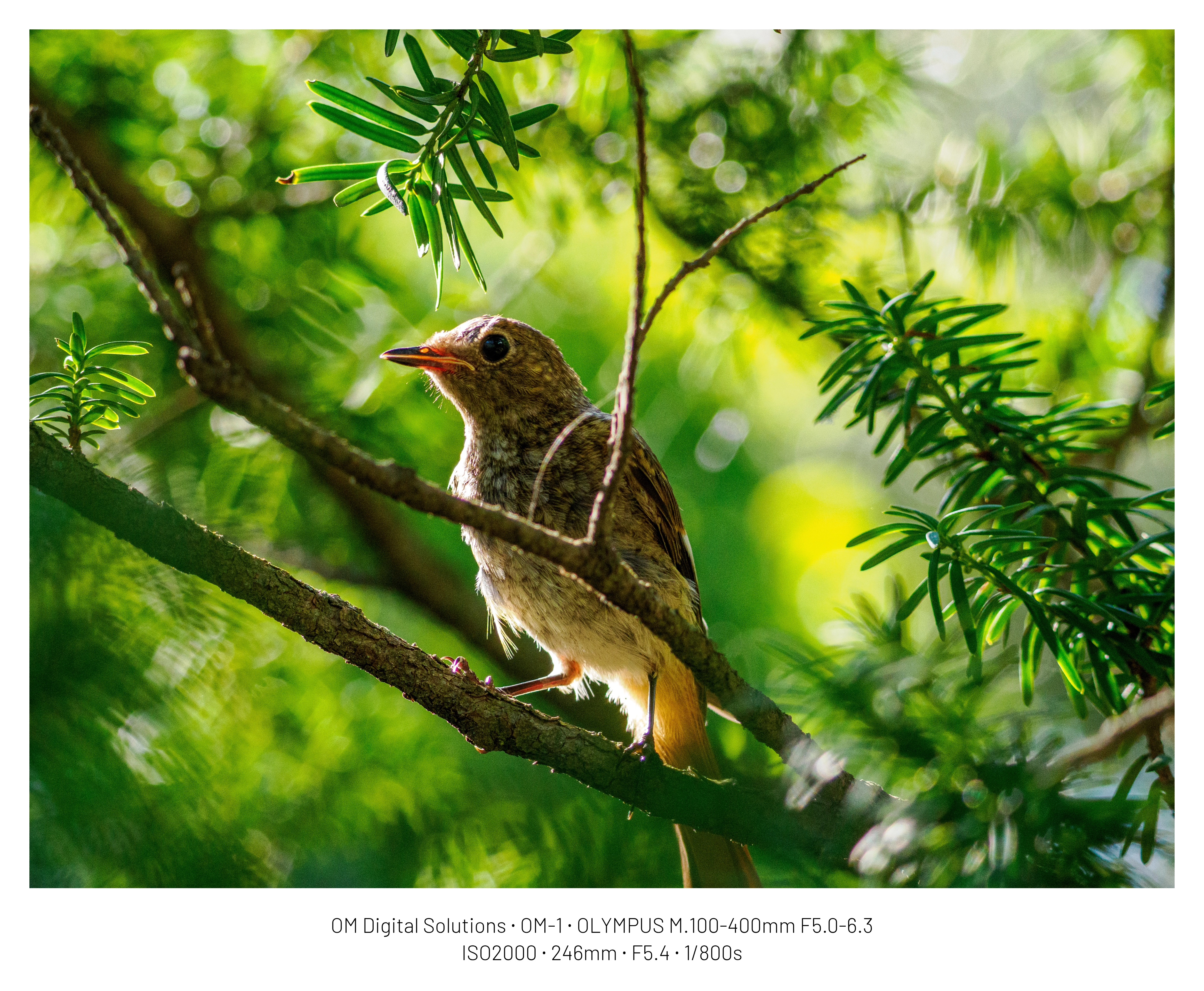 DC Inside 이미지 20