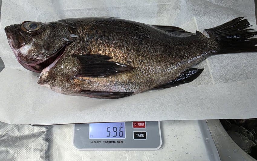 DC Inside 이미지 2