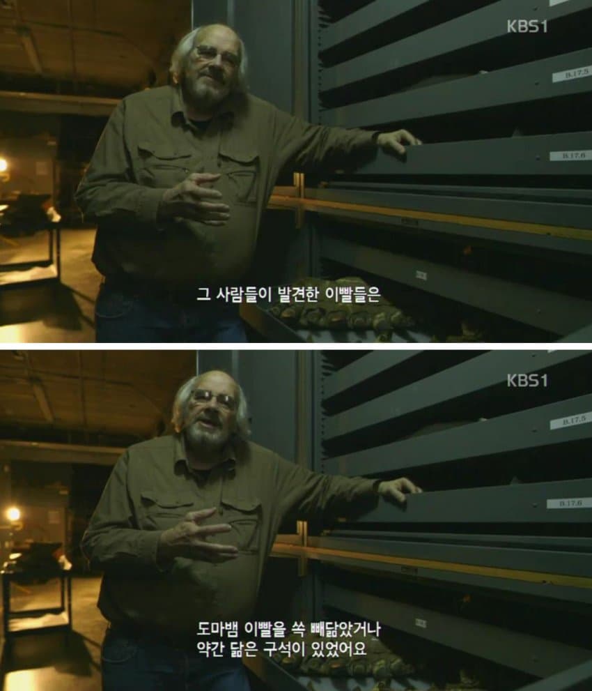DC Inside 이미지 20