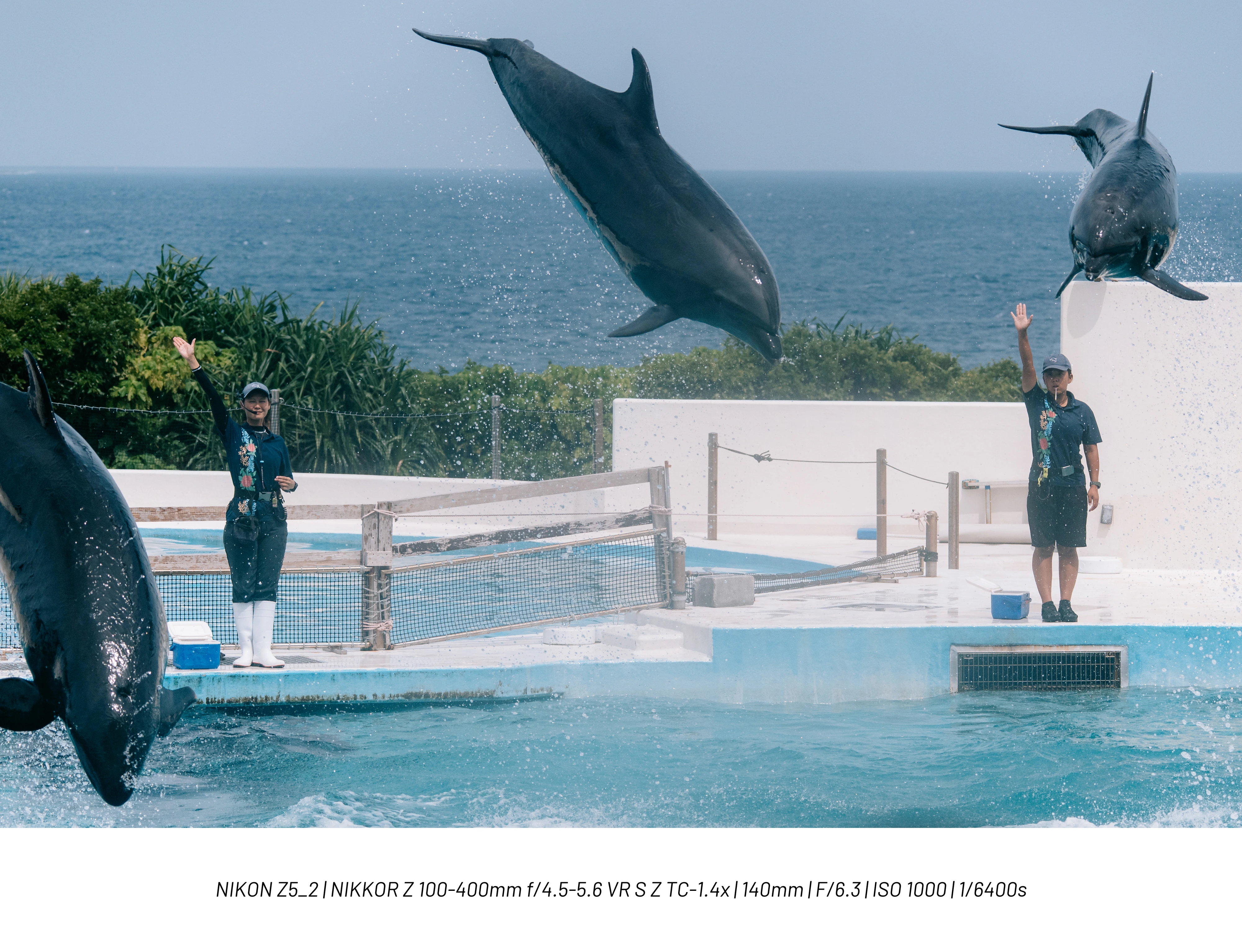 DC Inside 이미지 15