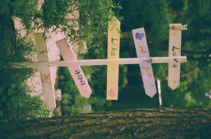 DC Inside 이미지 12