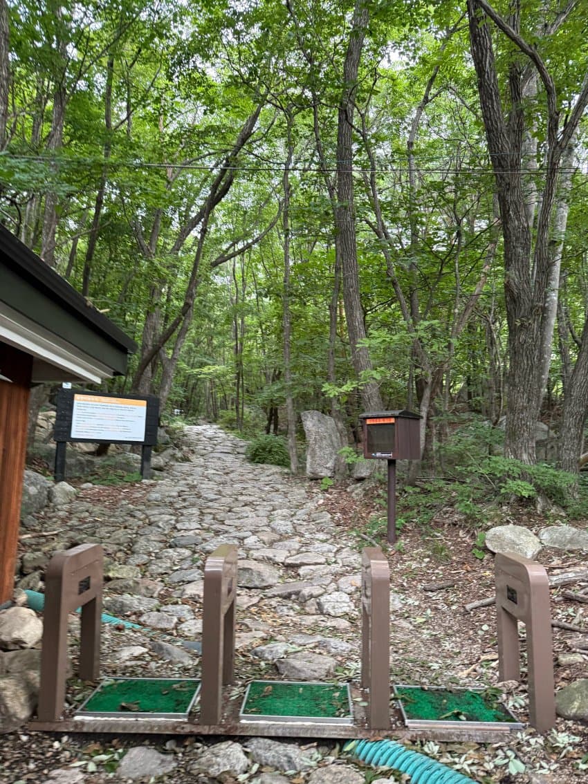 DC Inside 이미지 3