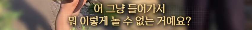 DC Inside 이미지 5