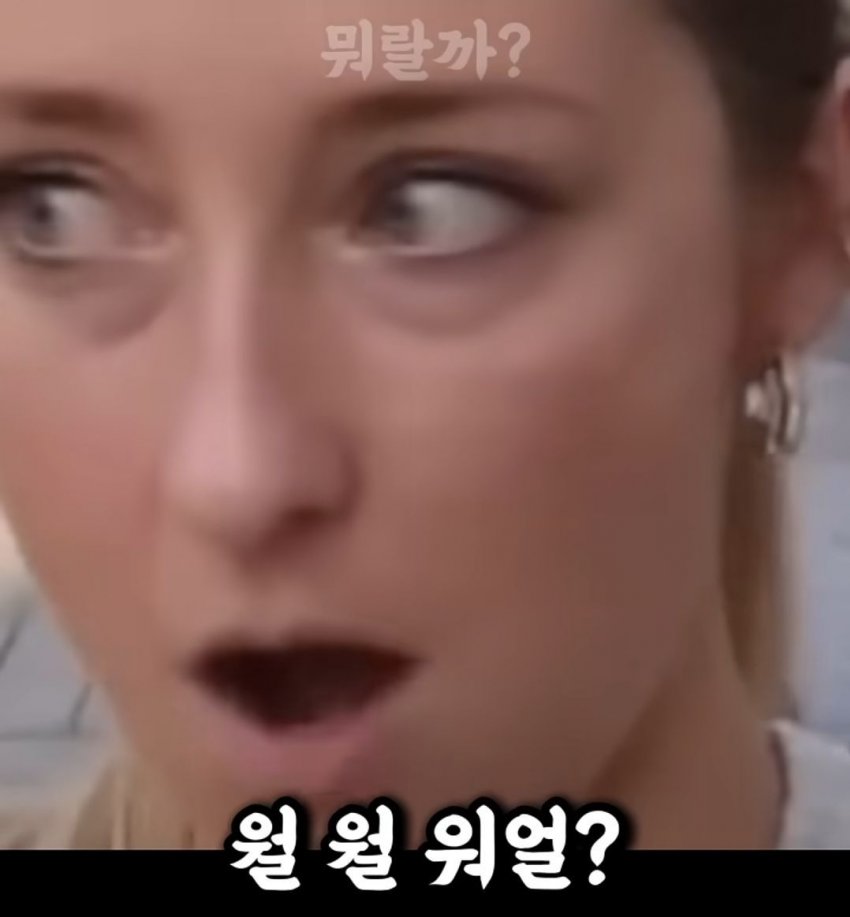 DC Inside 이미지 15