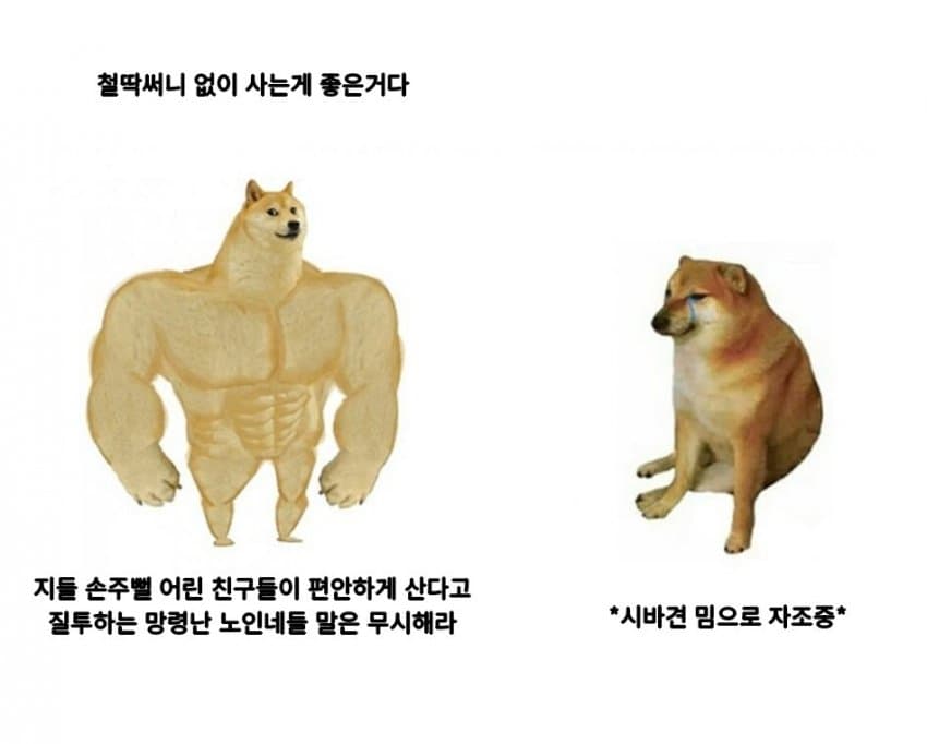 DC Inside 이미지 2