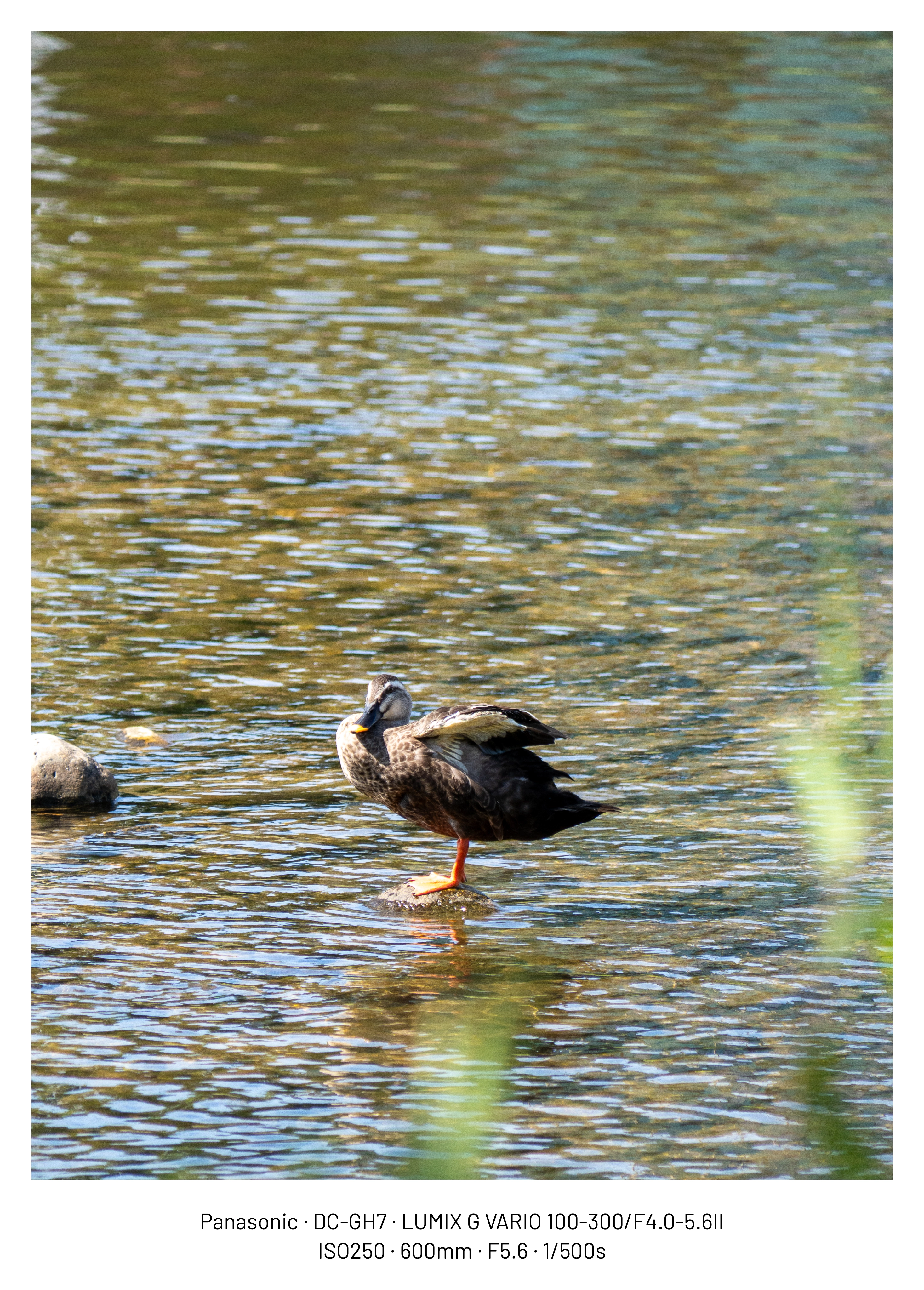 DC Inside 이미지 7