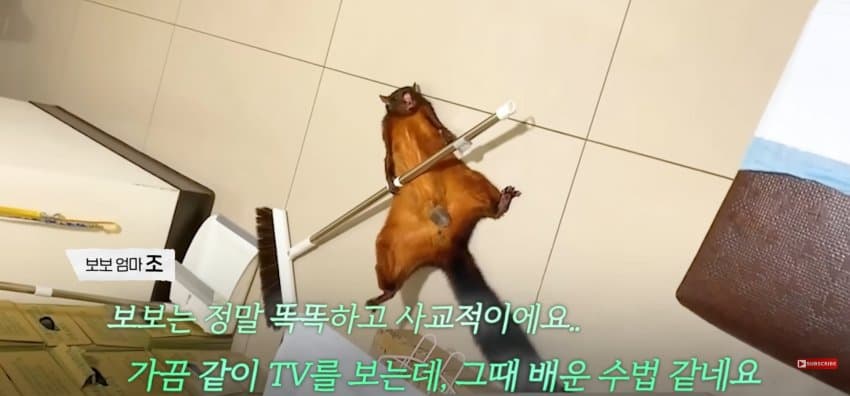 DC Inside 이미지 10