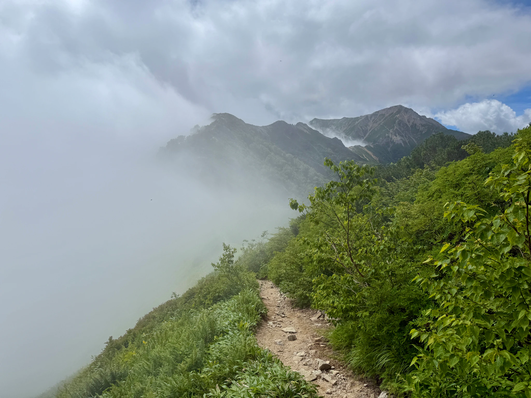 DC Inside 이미지 13