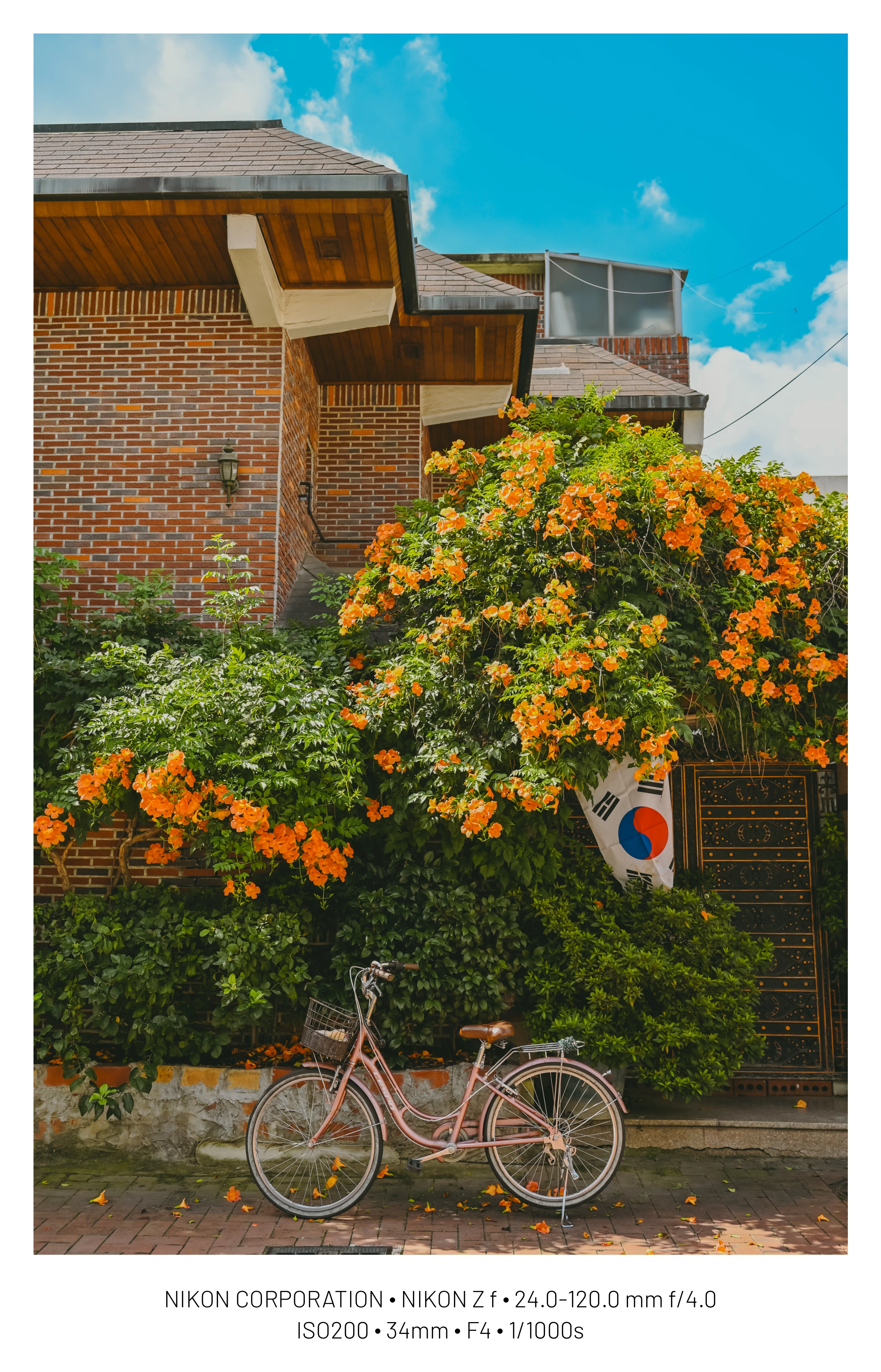 DC Inside 이미지 9