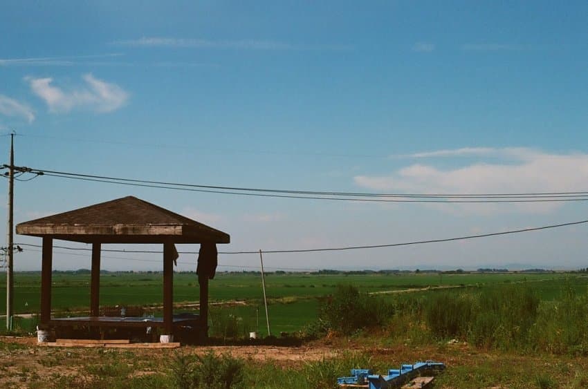 DC Inside 이미지 3