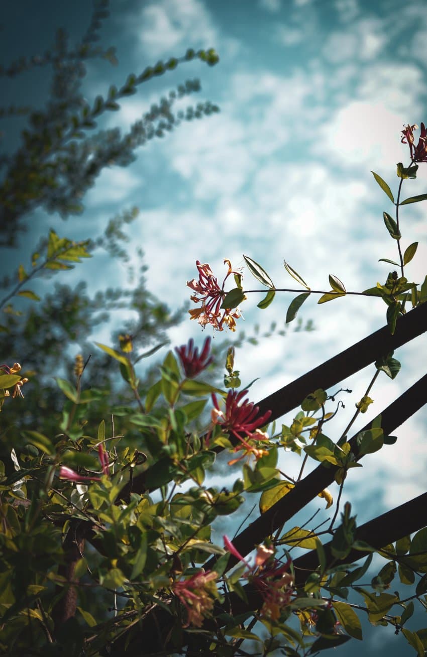 DC Inside 이미지 5