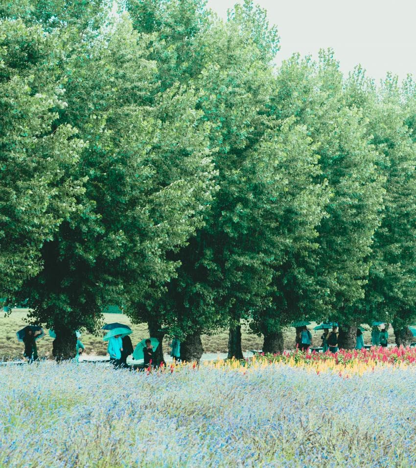 DC Inside 이미지 7