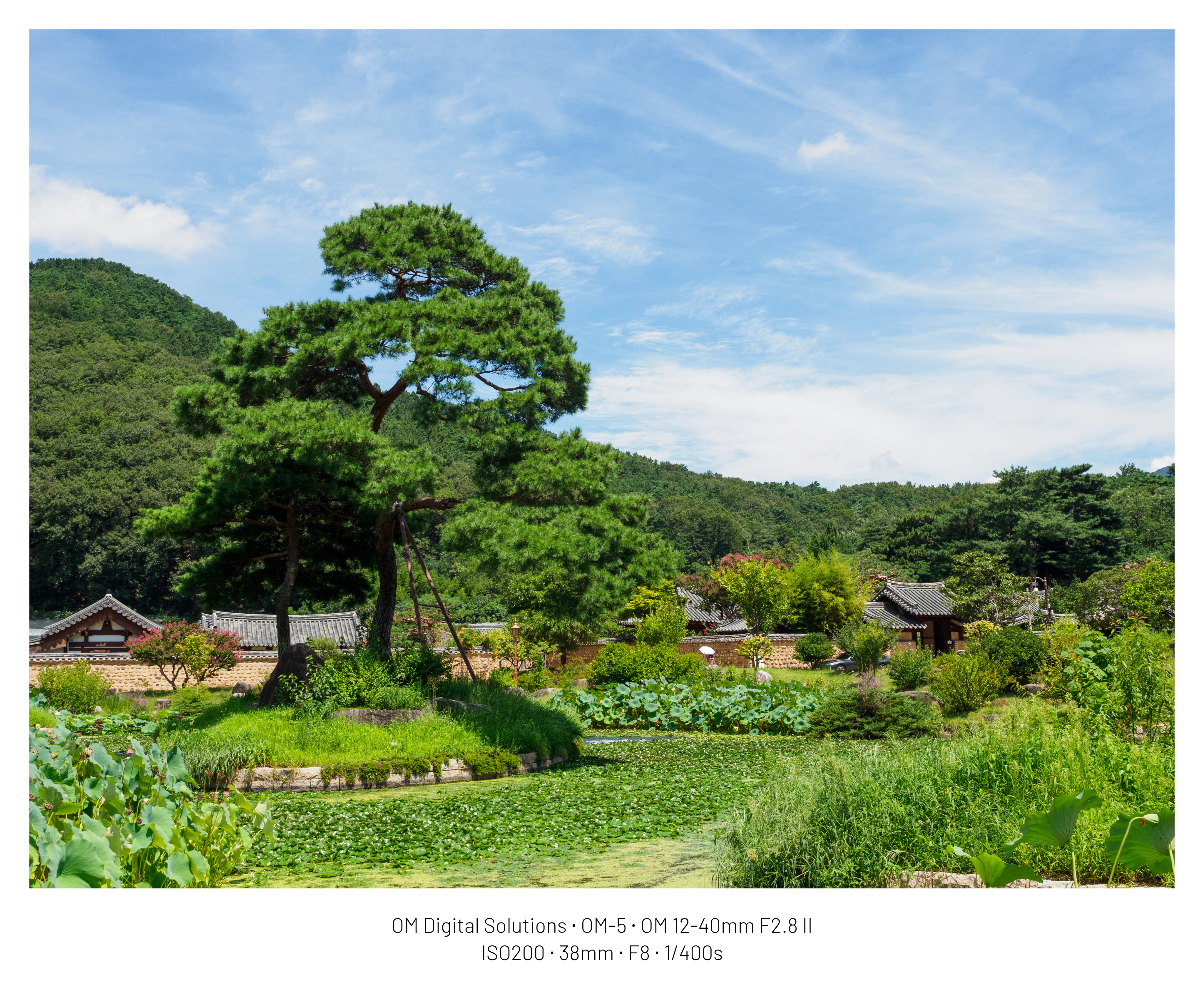 DC Inside 이미지 5