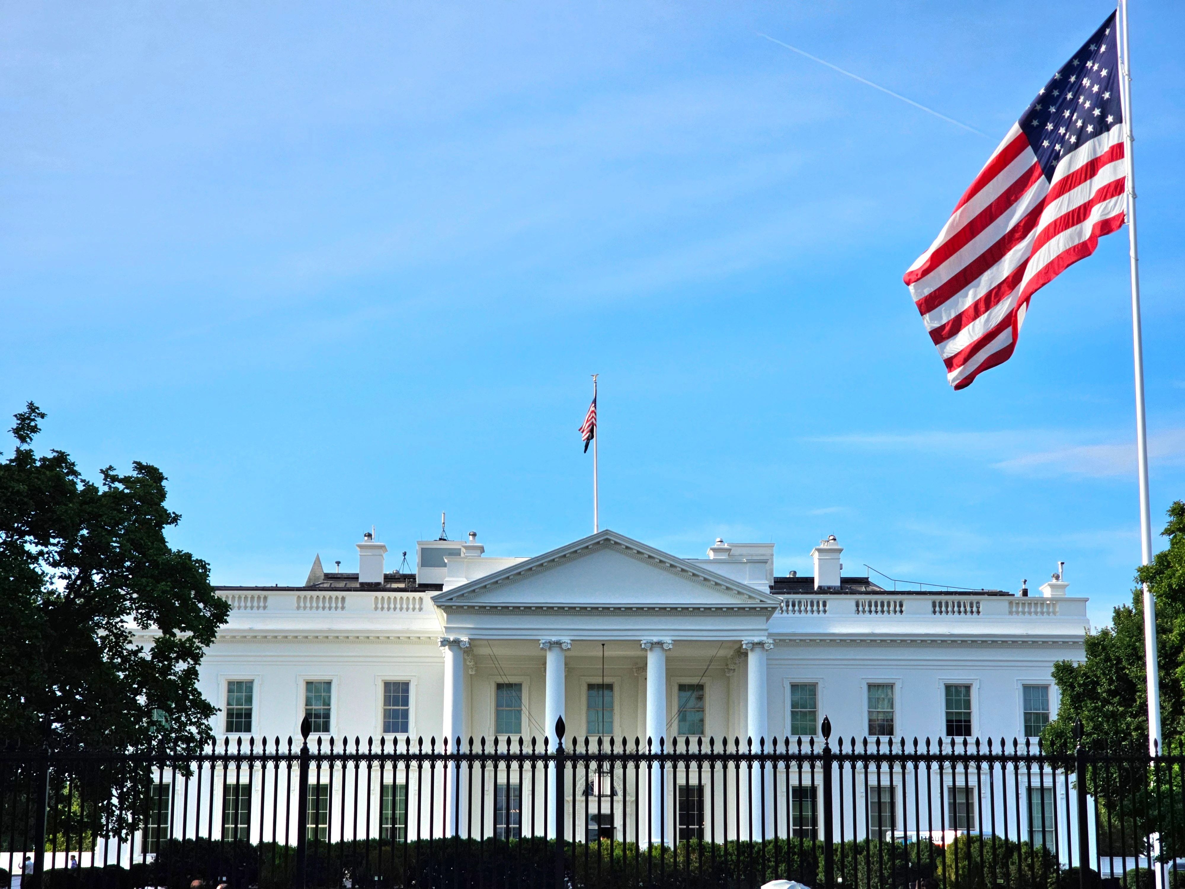 DC Inside 이미지 2