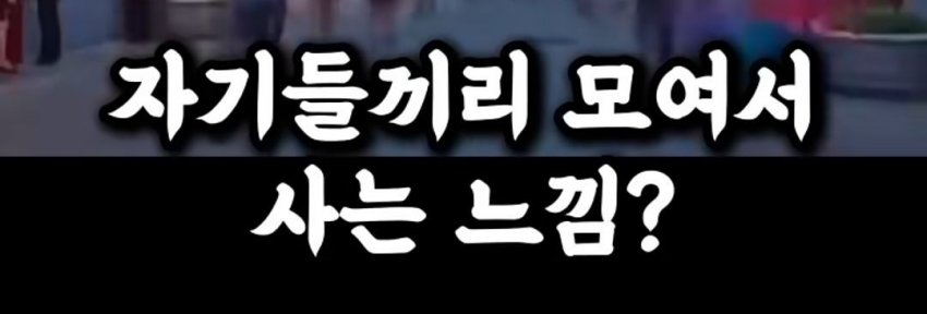 DC Inside 이미지 6