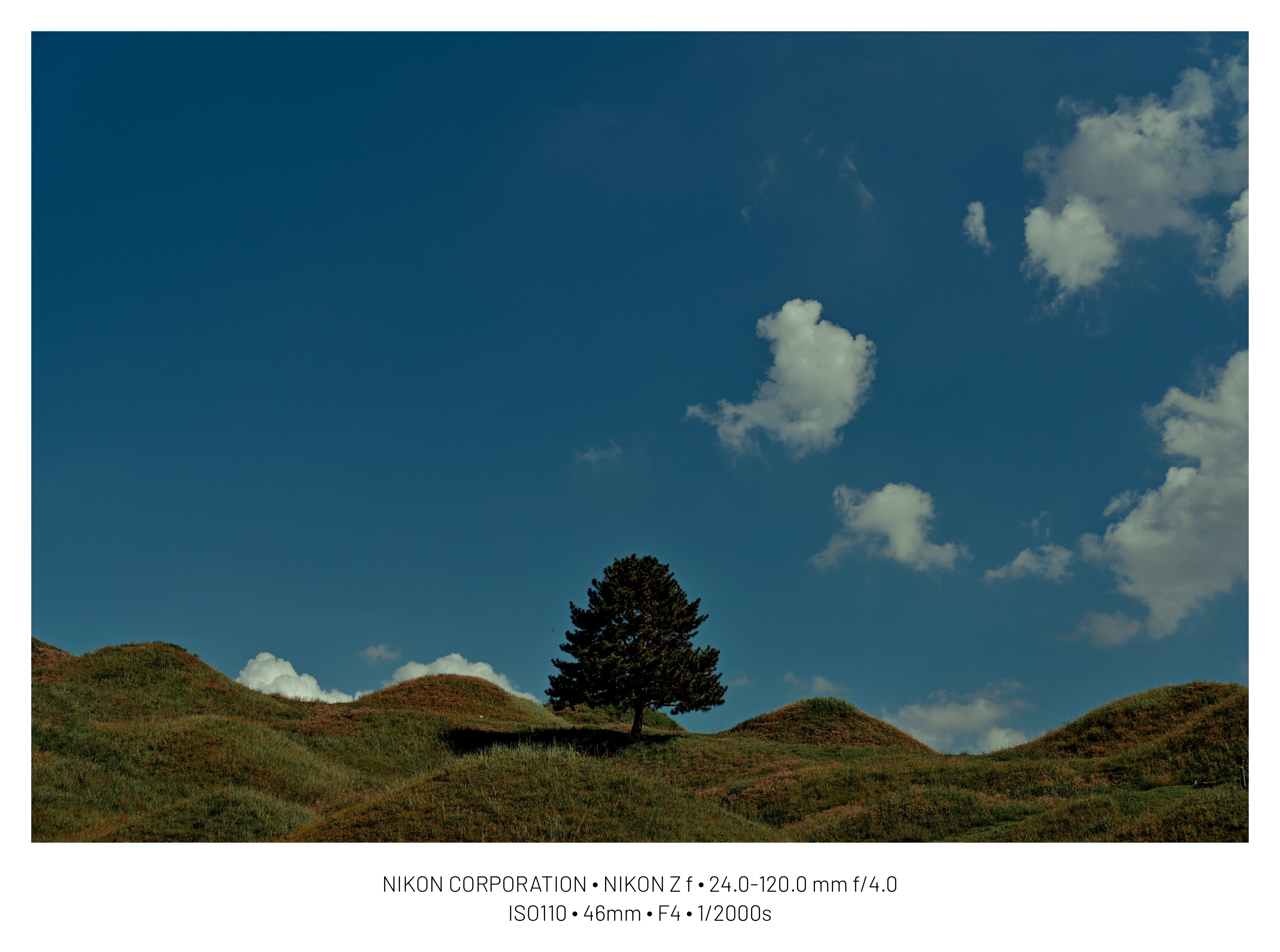 DC Inside 이미지 13