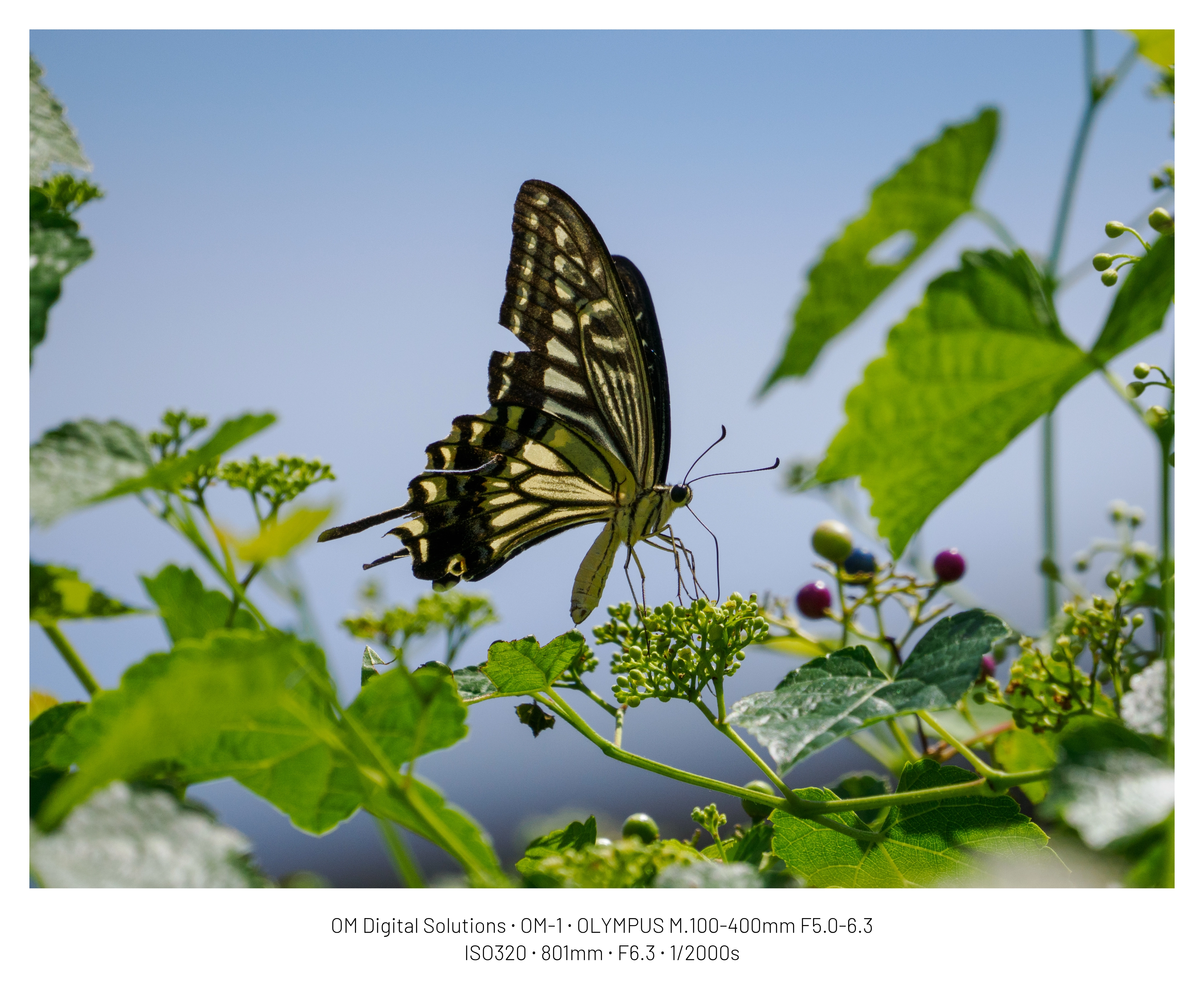 DC Inside 이미지 15