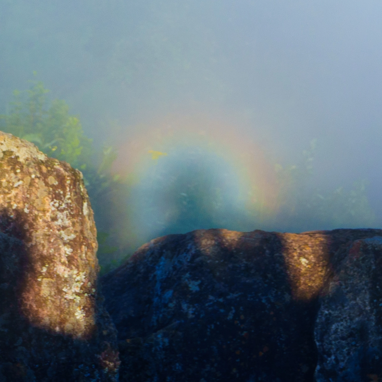 DC Inside 이미지 10