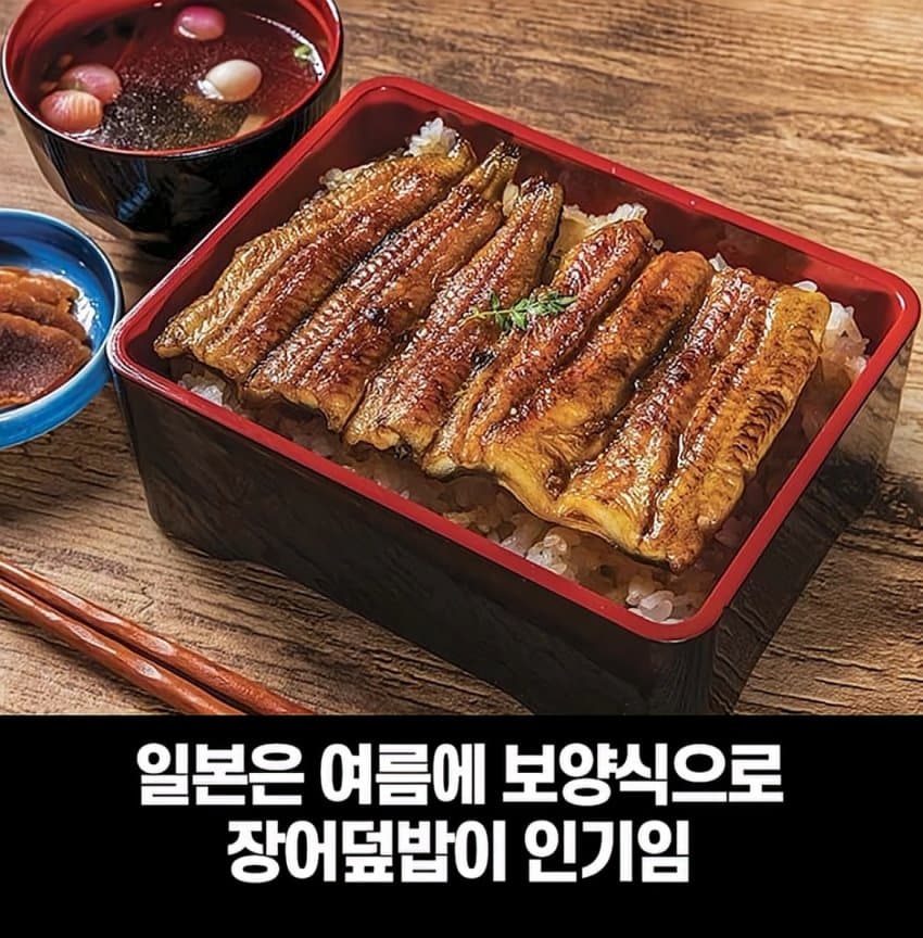 DC Inside 이미지 2