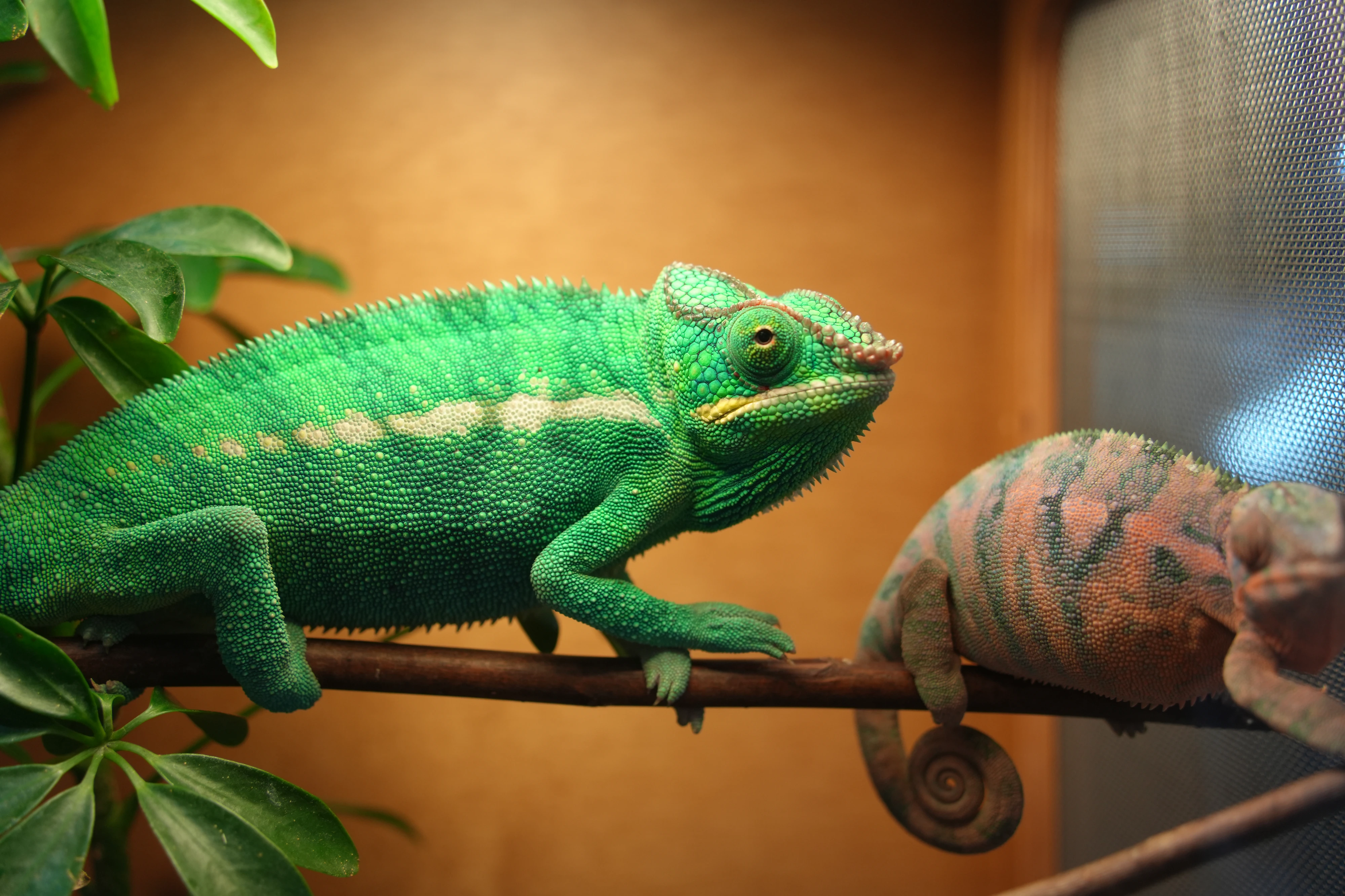 DC Inside 이미지 17