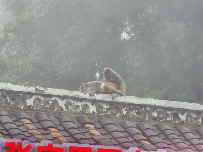 DC Inside 이미지 11