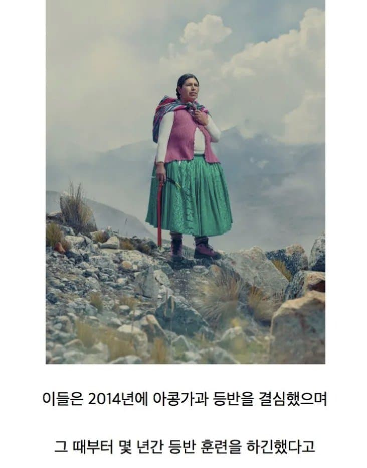 DC Inside 이미지 7
