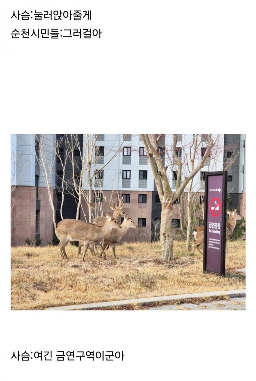 DC Inside 이미지 13