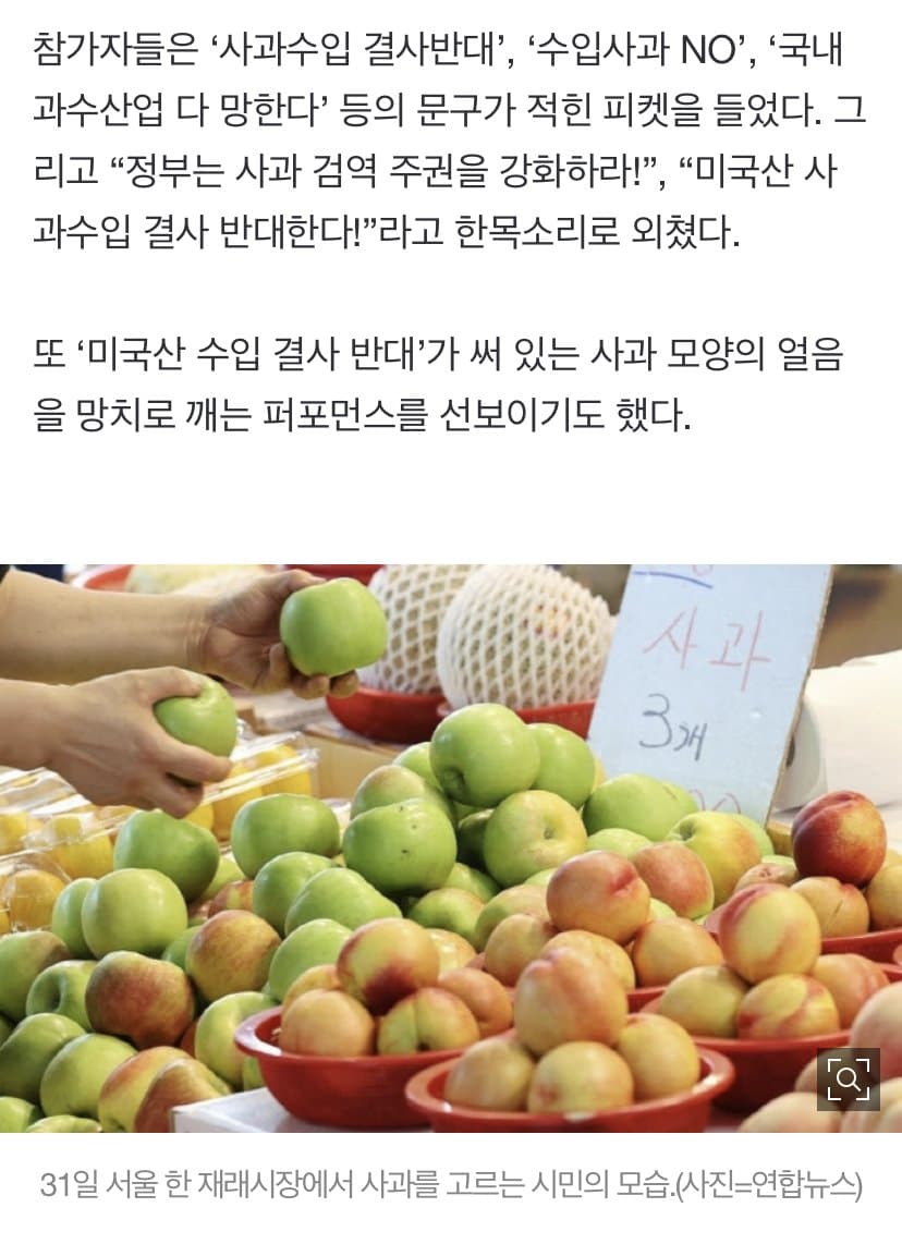 DC Inside 이미지 3