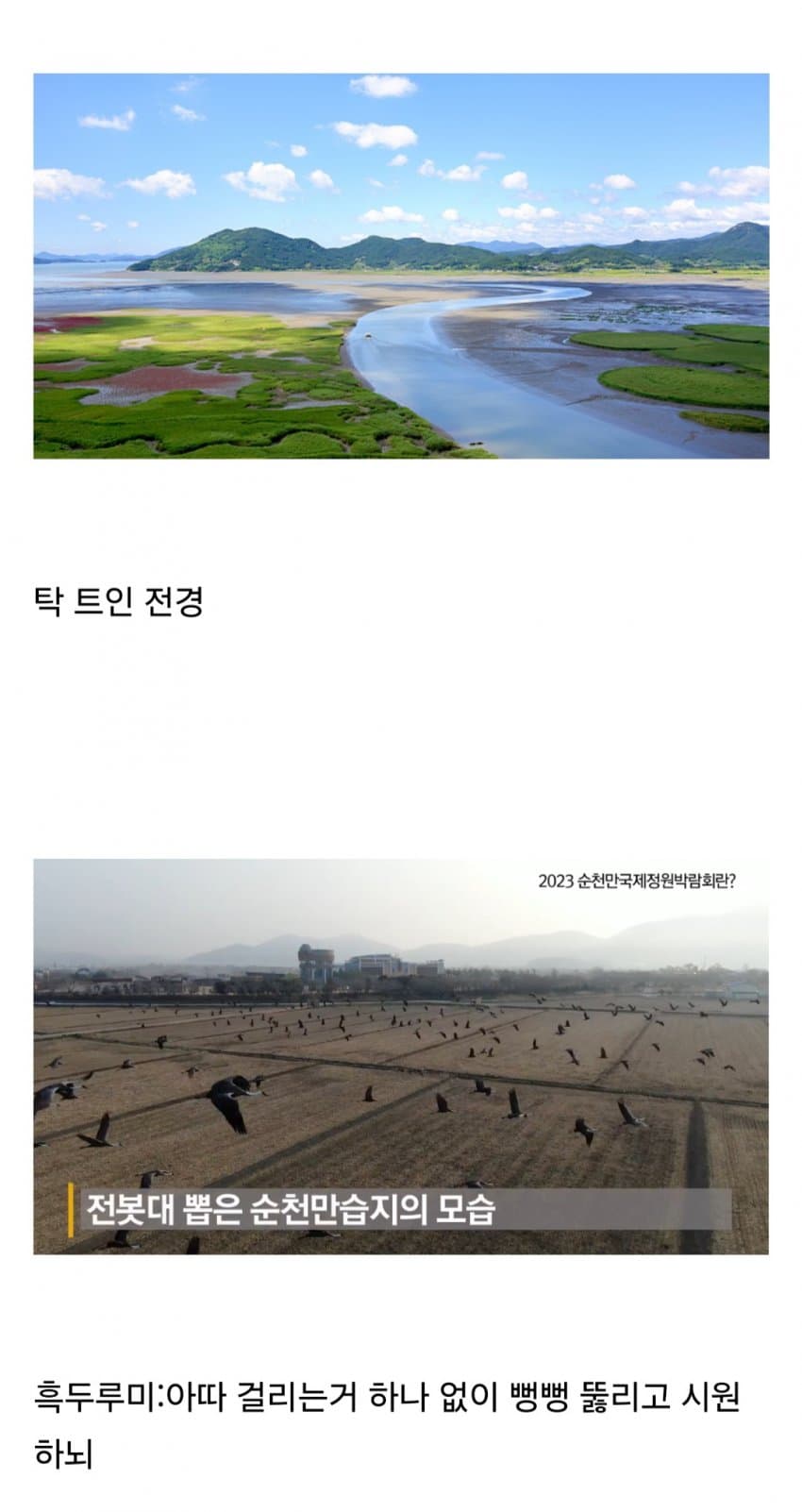 DC Inside 이미지 4