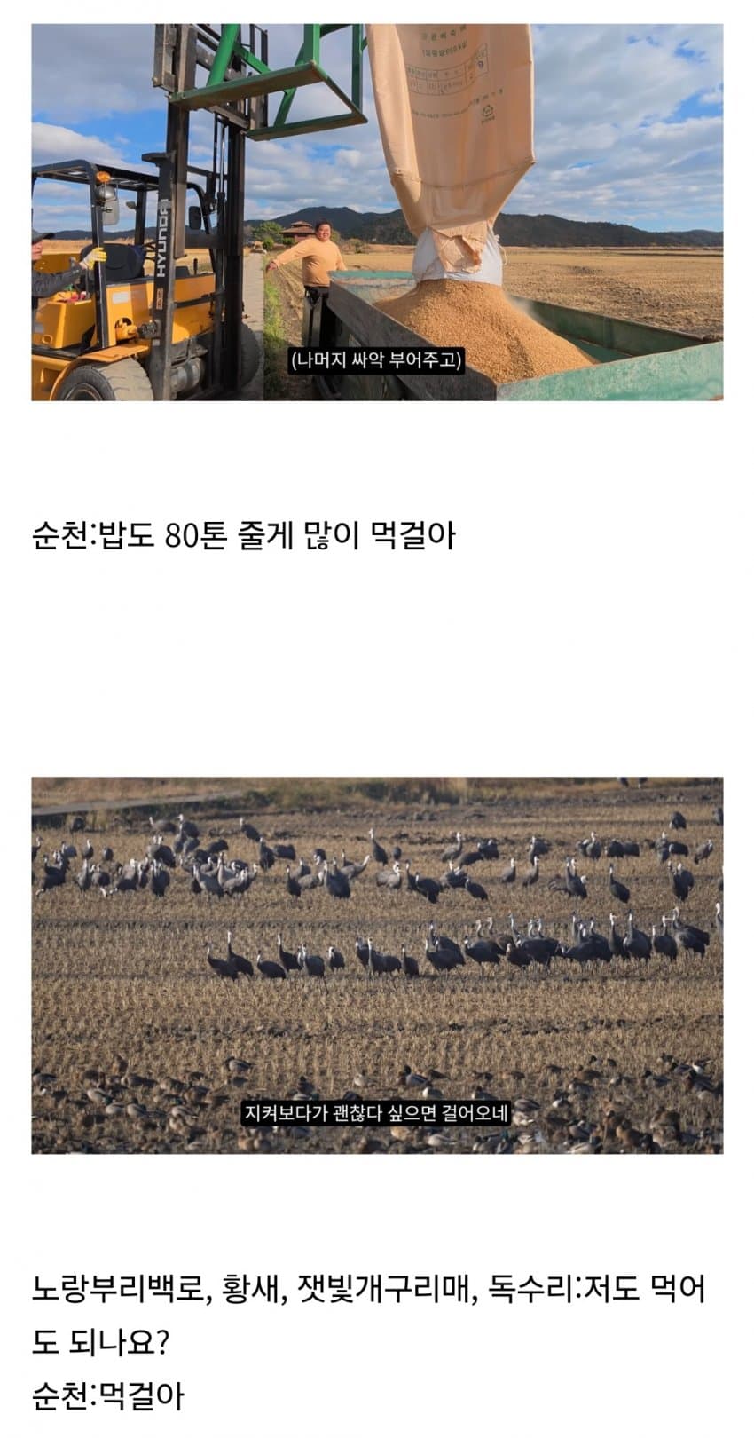 DC Inside 이미지 5