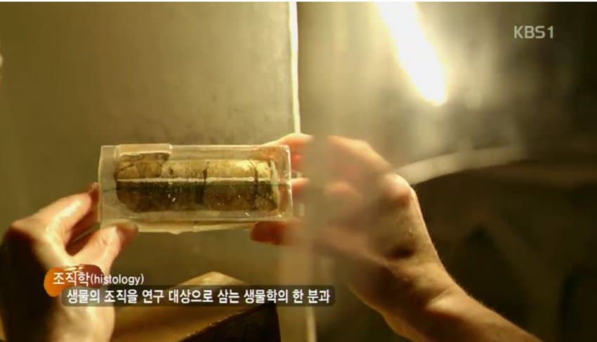DC Inside 이미지 12