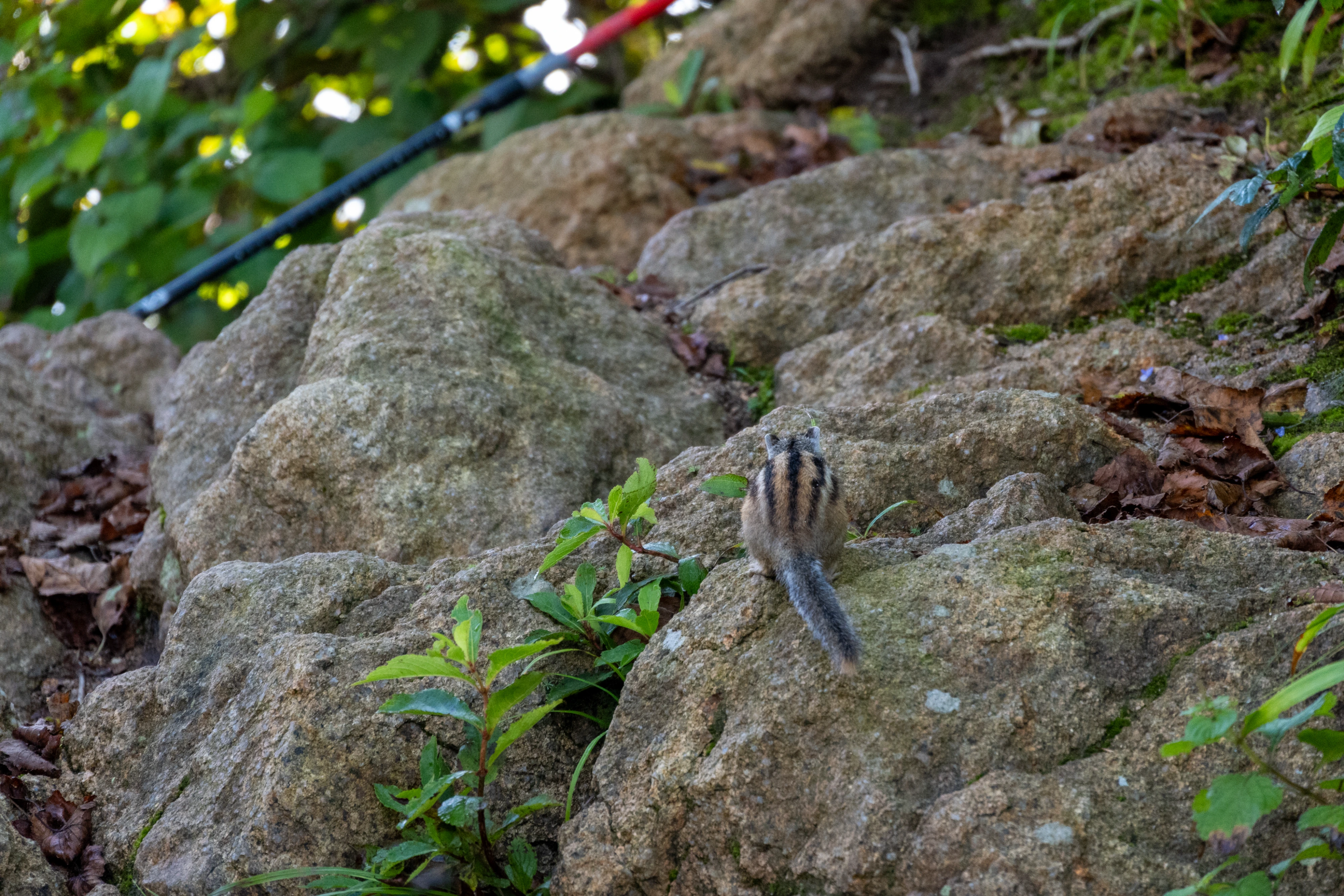 DC Inside 이미지 5